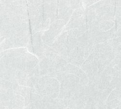 紙見本｜スター印小間紙