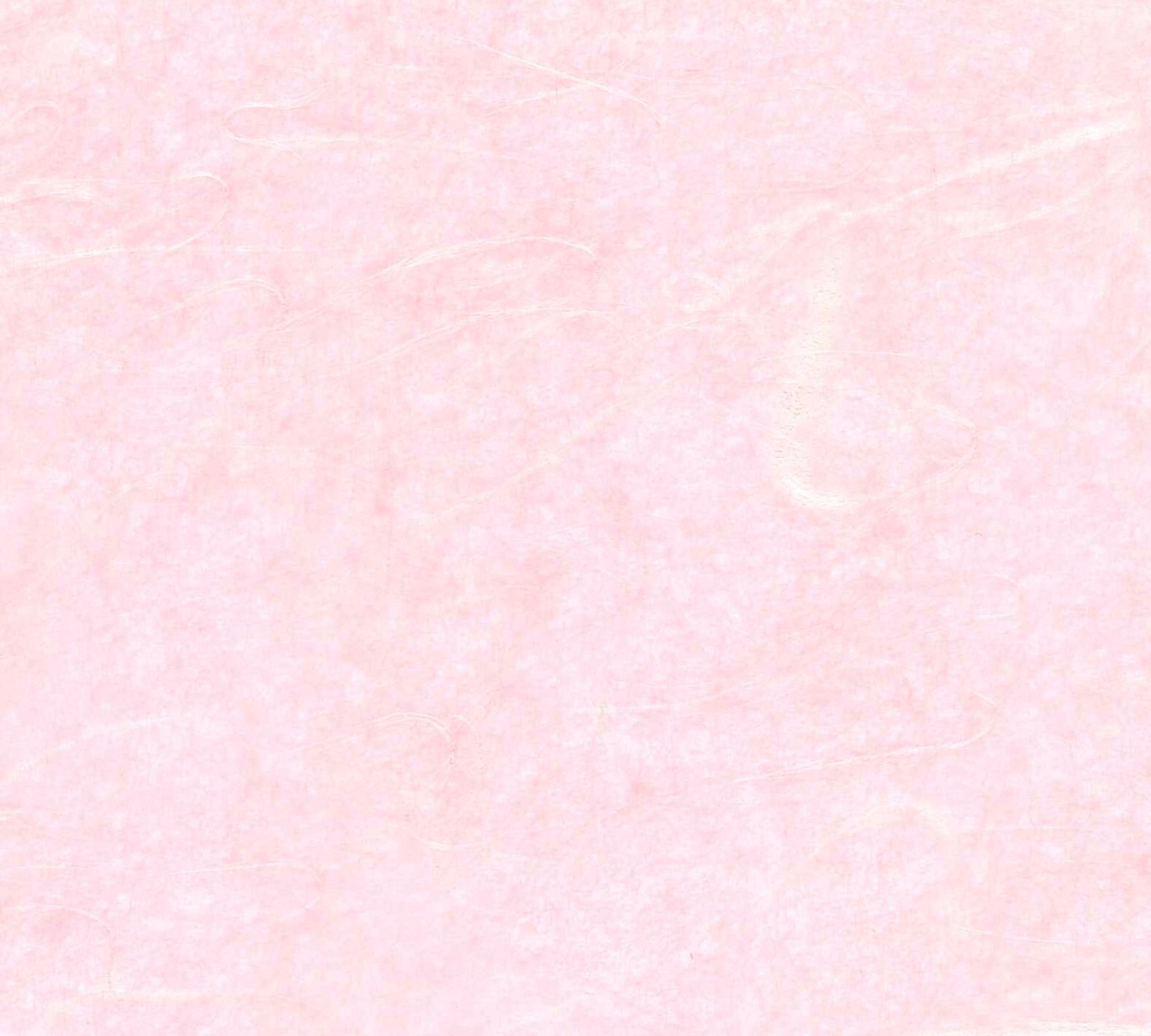 紙見本｜スター印小間紙