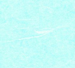 紙見本｜スター印小間紙