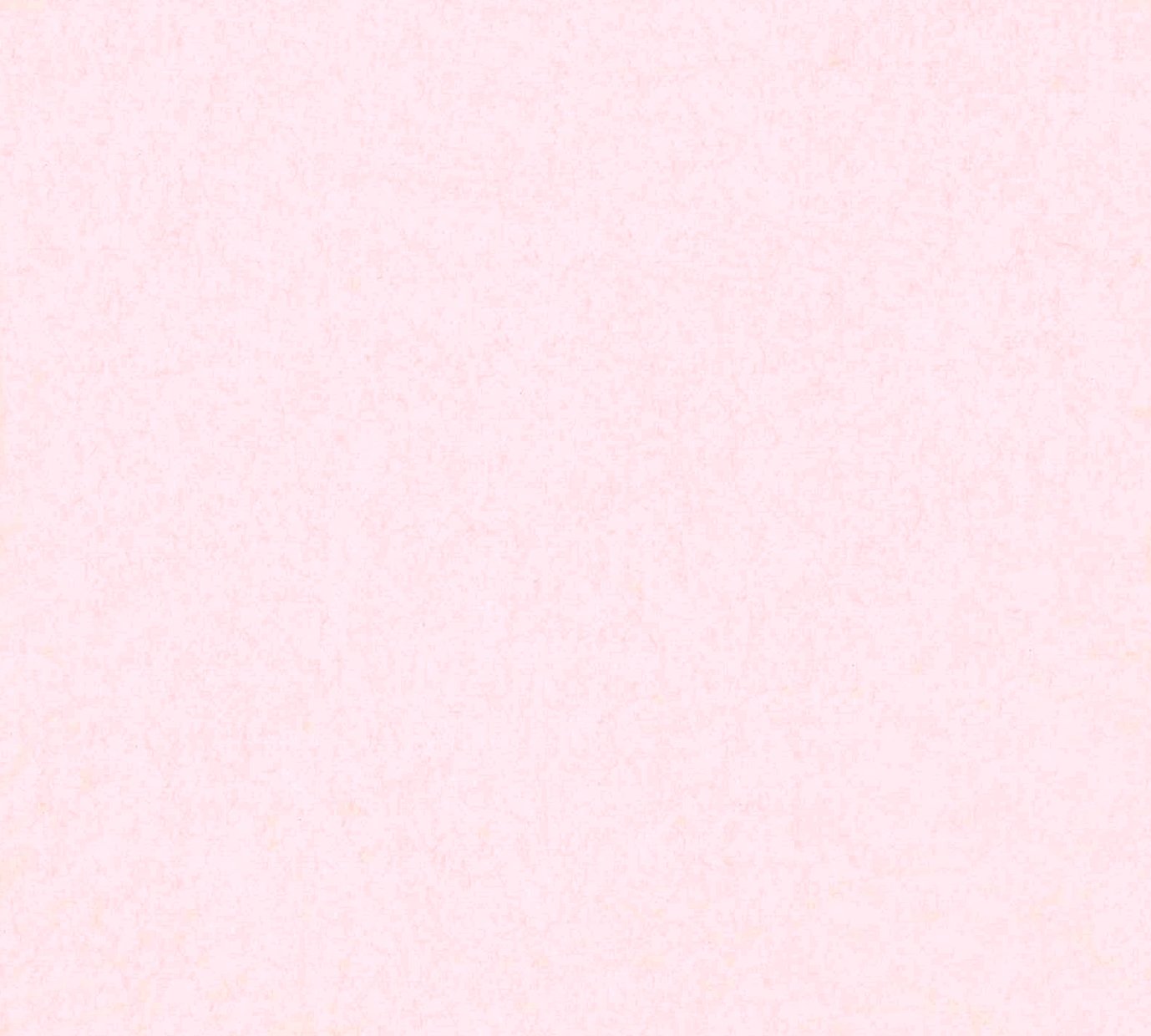 紙見本｜スター印小間紙