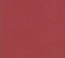 紙見本｜スター印小間紙