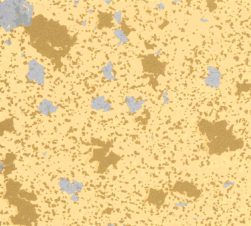 紙見本｜スター印小間紙