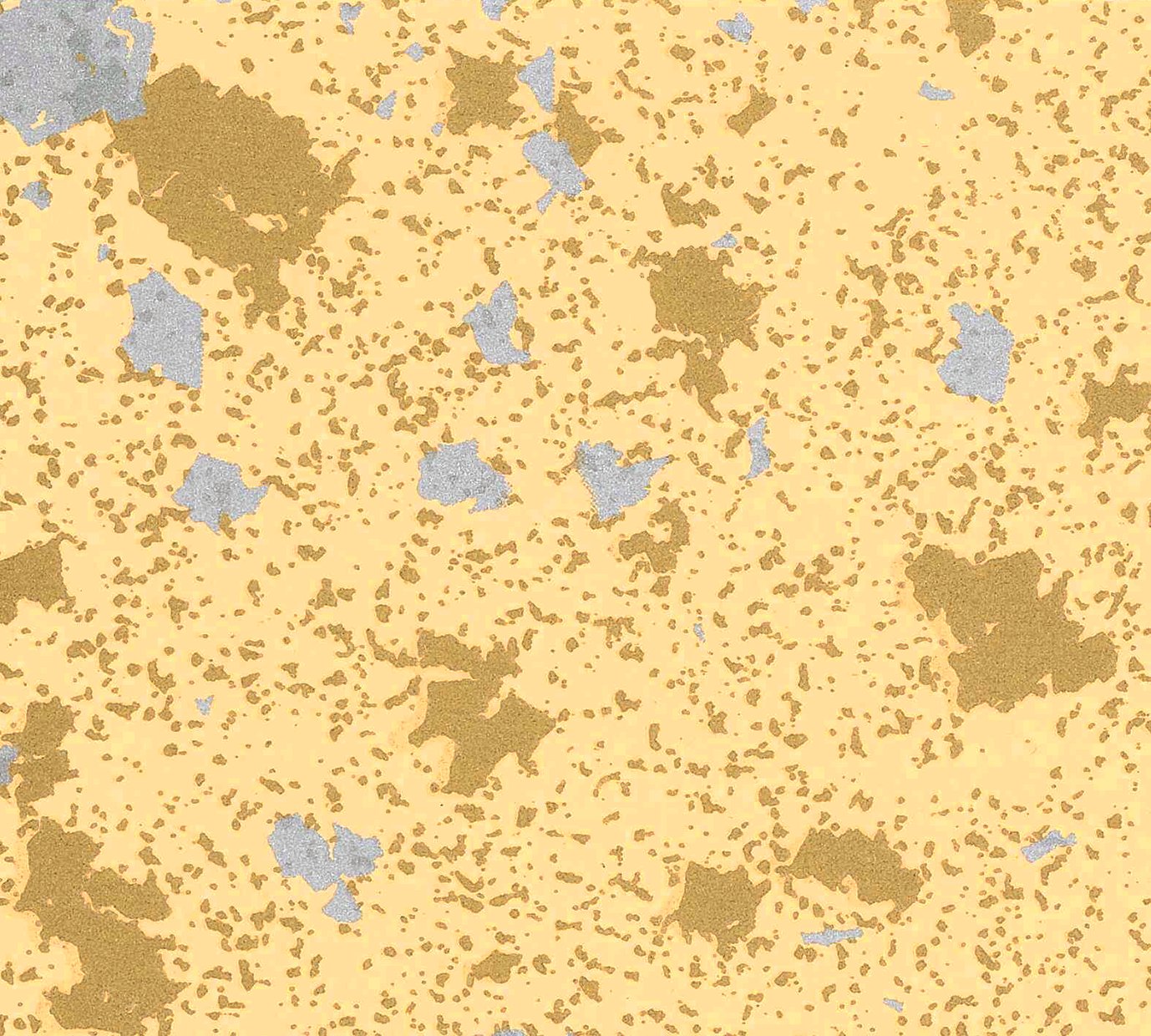 紙見本｜スター印小間紙