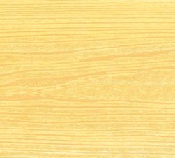 紙見本｜スター印小間紙