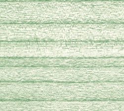 紙見本｜スター印小間紙