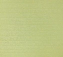 紙見本｜スター印小間紙