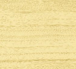 紙見本｜スター印小間紙