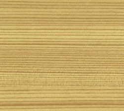 紙見本｜スター印小間紙