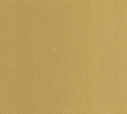 紙見本｜スター印小間紙