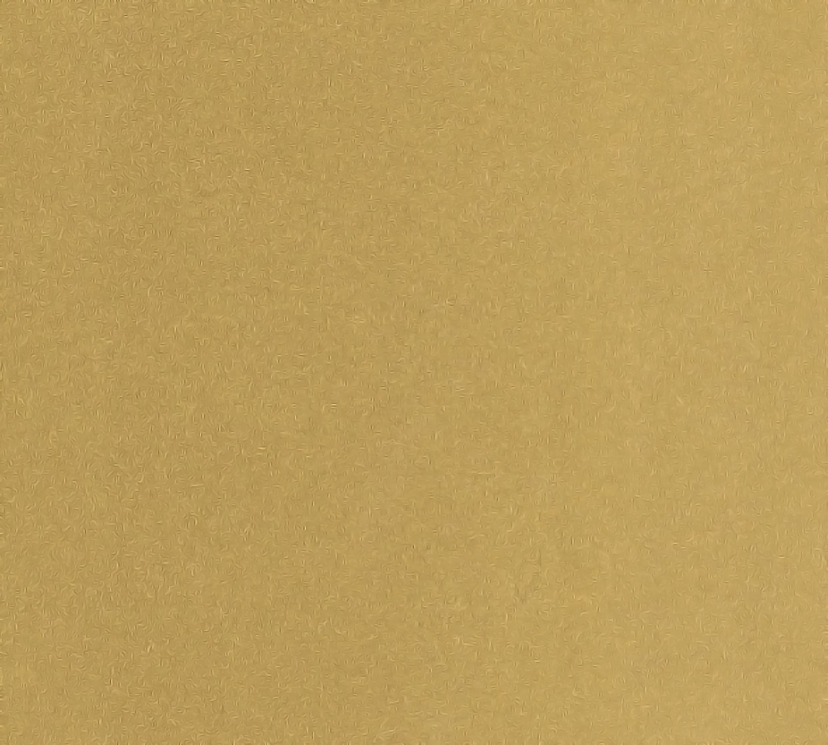 紙見本｜スター印小間紙